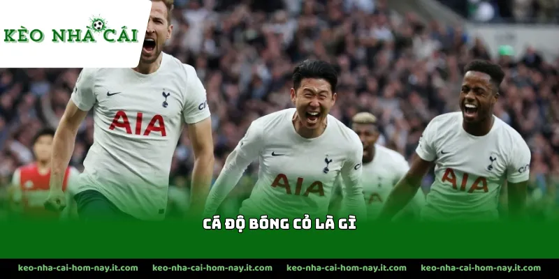 Những đặc điểm điển hình của các giải đấu bóng cỏ