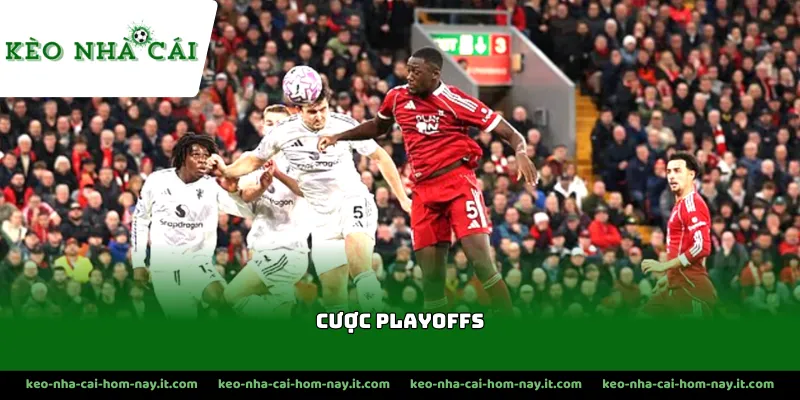 Tầm quan trọng của giải cược playoffs